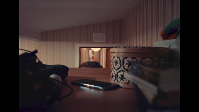 Video Reference: Building, Comfort, Wood, Table, Living room, Flooring, Tints and shades, Hardwood, House, Art