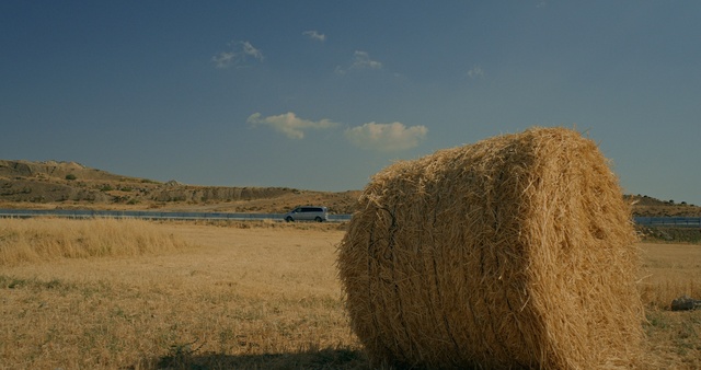 Video Reference: Sky, Ecoregion, Cloud, Natural landscape, Grass, Plain, Agriculture, Grassland, Tints and shades, Grass family