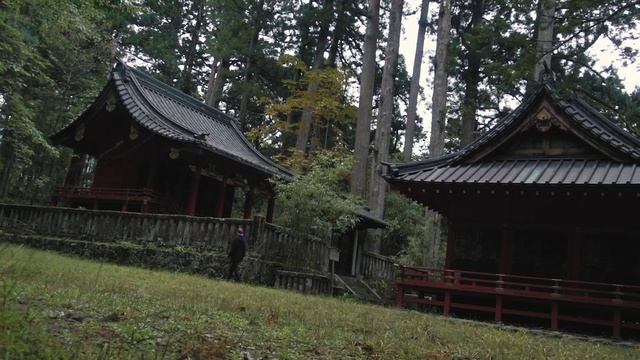 Video Reference: Plant, Temple, Tree, Wood, Chinese architecture, Natural landscape, Leisure, Landscape, Grass, Temple