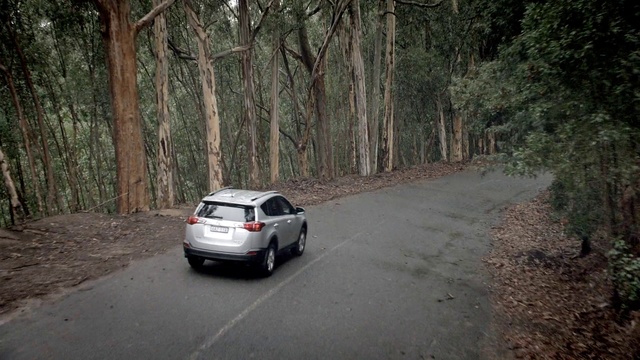 Video Reference: Tire, Wheel, Plant, Vehicle, Car, Automotive tail & brake light, Automotive lighting, Automotive tire, Motor vehicle, Tree