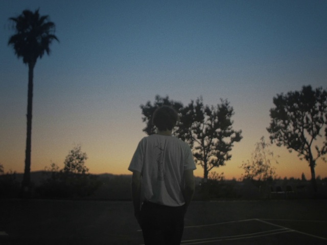 Video Reference: Sky, Atmosphere, Plant, Leaf, Tree, Flash photography, Gesture, Natural landscape, People in nature, Dusk