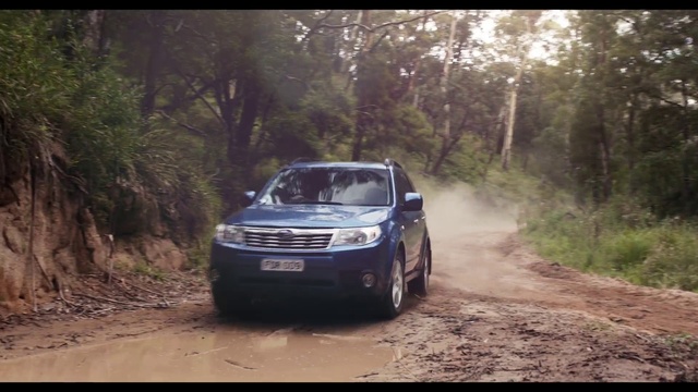 Video Reference: Tire, Wheel, Vehicle, Plant, Car, Vehicle registration plate, Hood, Tree, Automotive lighting, Automotive tire