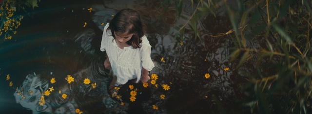 Video Reference: Flower, Plant, Smile, People in nature, Flash photography, Petal, Happy, Organism, Yellow, Grass