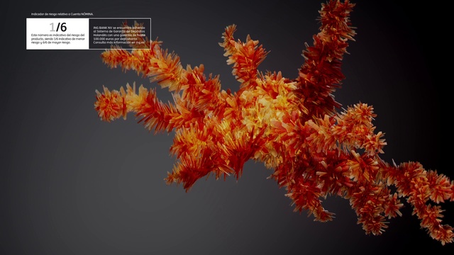 Video Reference: Plant, Orange, Flower, Organism, Twig, Terrestrial plant, Flowering plant, Tree, Font, Art