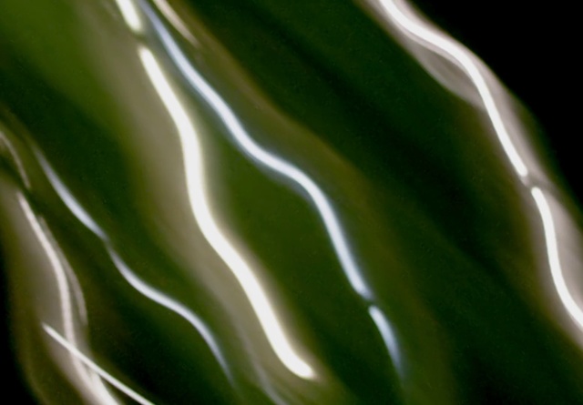 Video Reference: Electric blue, Pattern, Art, Terrestrial plant, Graphics, Darkness, Font, Water, Neon, Macro photography