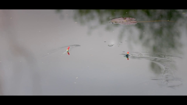Video Reference: Water, Liquid, Fluid, Event, Rectangle, Lake, Sky