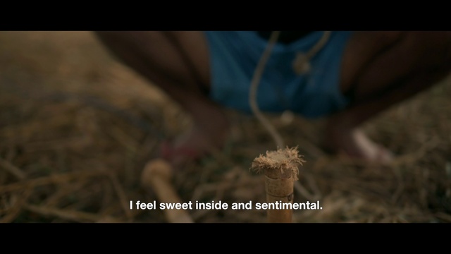 Video Reference: Organism, Gesture, Plant, Grass, Terrestrial plant, Font, Landscape, Human leg, Wood, Darkness