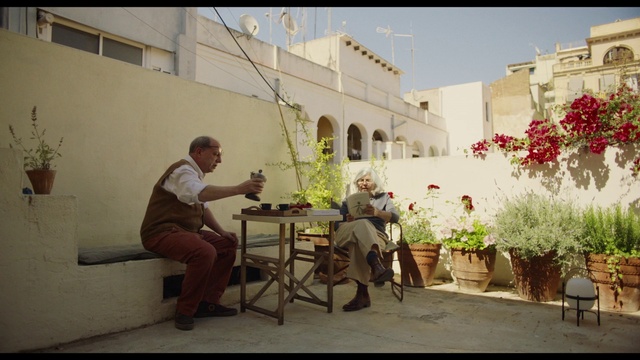 Video Reference: Plant, Flower, Furniture, Flowerpot, Building, Table, Houseplant, Chair, Urban design, Leisure