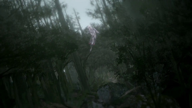 Video Reference: Plant, Wood, Terrestrial plant, Twig, Water, Natural landscape, Trunk, Sky, Tree, Landscape