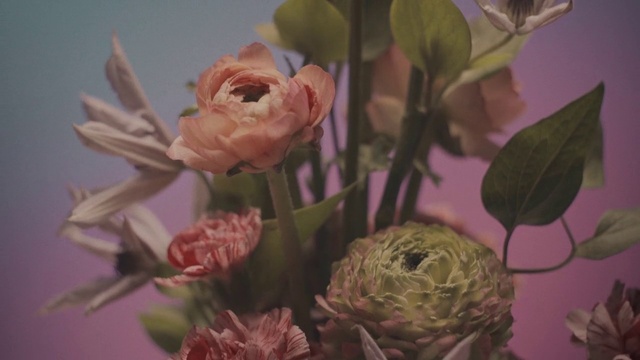 Video Reference: Flower, Plant, Petal, Pink, Terrestrial plant, Flower Arranging, Creative arts, Bouquet, Artificial flower, Garden roses