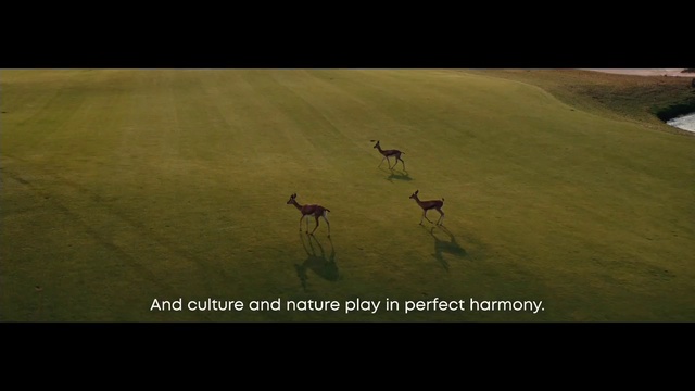 Video Reference: Fawn, Grass, Font, Tints and shades, Landscape, Terrestrial animal, Grassland, Deer, Natural landscape, Wood