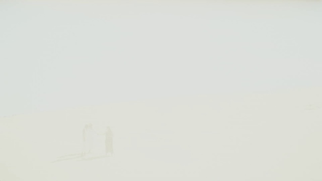 Video Reference: Rectangle, Font, Twig, Circle, Pattern, Event, Art, Logo, Brand, Mist