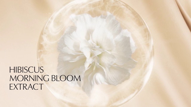 Video Reference: Flower, Petal, Cuisine, Natural material, Bridal accessory, Flowering plant, Cut flowers, Fashion accessory, Dish, Dishware