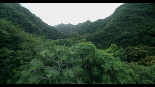 Video Reference: Plant, Mountain, Green, Sky, Natural landscape, Terrestrial plant, Highland, Mountainous landforms, Grass, Landscape