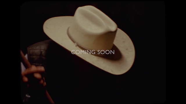 Video Reference: Hat, Sun hat, Fedora, Costume hat, Cap, Sleeve, Ear, Gesture, Serveware, Cowboy hat