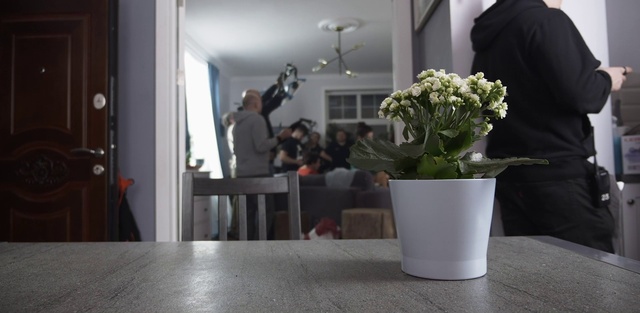 Video Reference: Flower, Plant, Flowerpot, Table, Houseplant, Lighting, Interior design, Vase, Building, Drinkware