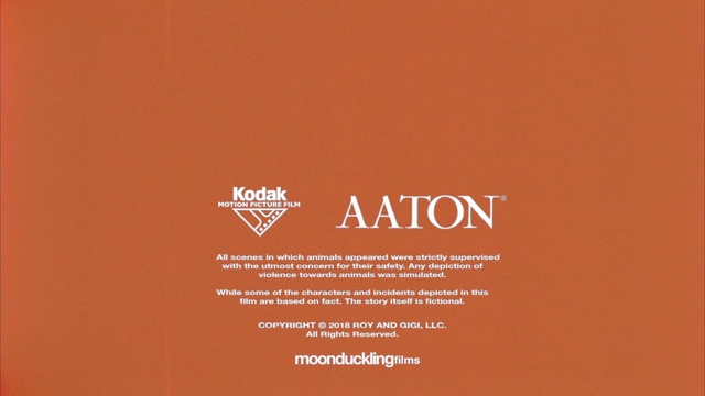 Video Reference: Brown, Amber, Font, Tints and shades, Peach, Magenta, Brand, Logo, Graphics, Circle