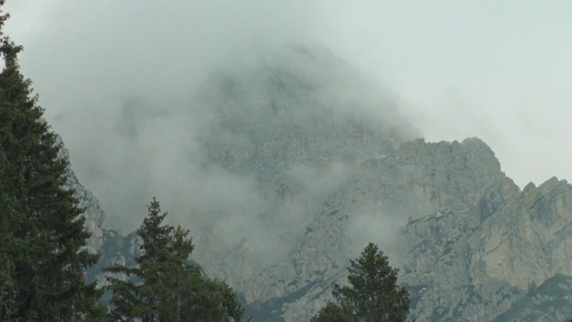 Video Reference: Cloud, Mountain, Fog, Tree, Highland, Larch, Natural landscape, Atmospheric phenomenon, Sky, Plant