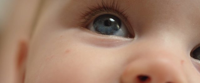 Video Reference: baby, infant, close-up, face, eye, blue eye, lashes, skin, portrait, macro, child, soft focus, innocent, detail