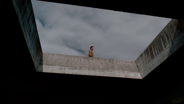 Video Reference: Bird, Cloud, Wood, Sky, Window, Beak, Rectangle, Plant, Grey, Twig