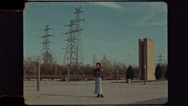 Video Reference: Sky, Plant, Cloud, Tree, Rectangle, Line, Electricity, Woody plant, Overhead power line, Tints and shades