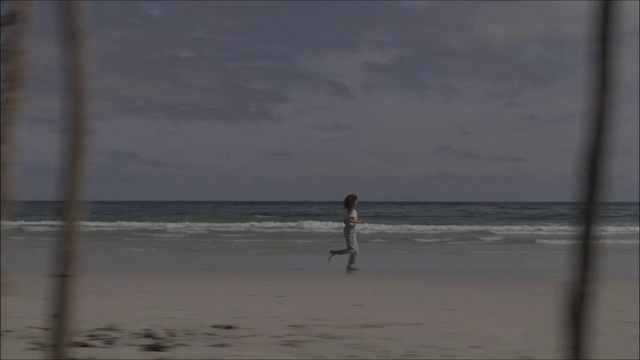 Video Reference: Cloud, Water, Sky, Fluid, Beach, Coastal and oceanic landforms, Horizon, Wind wave, Wind, Landscape