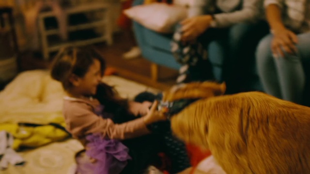 Video Reference: Chair, Dog, Sharing, Fun, Companion dog, Event, Comfort, Room, Working animal, Fur