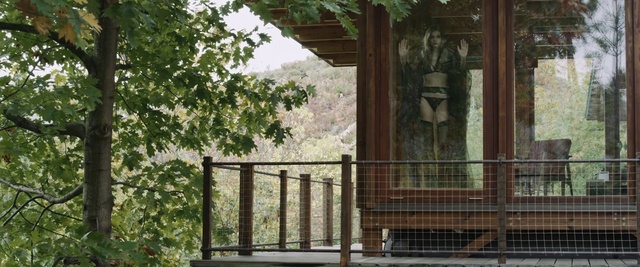 Video Reference: Wood, Fence, Plant, Shade, Tints and shades, Facade, Baluster, Landscape, Tree, Porch