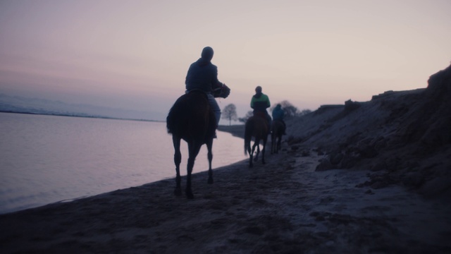 Video Reference: Horse, Sky, Water, Working animal, Cloud, Sunlight, Dusk, Landscape, Horizon, Horse tack