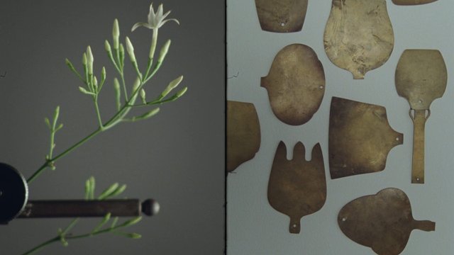 Video Reference: plant, bud, stem, close-up, macro, abstract, cutout, metal shapes, arrangement, still life, split screen, background, botanical, texture