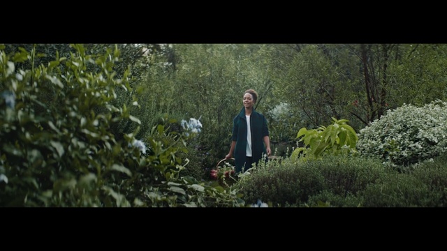 Video Reference: Plant, People in nature, Natural landscape, Coat, Tie, Tree, Terrestrial plant, Grass, Landscape, Grassland