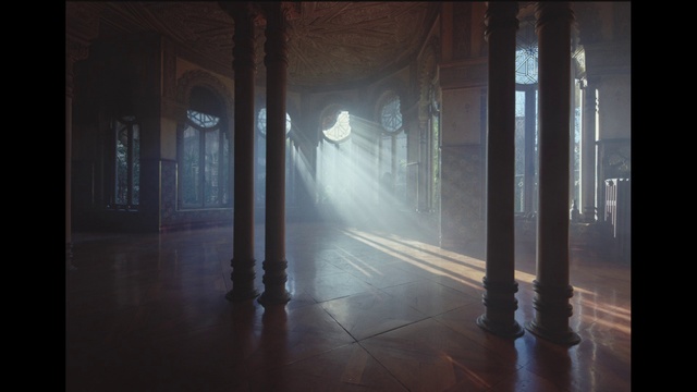 Video Reference: Atmosphere, Street light, Wood, Automotive lighting, Water, Atmospheric phenomenon, Sunlight, Fog, Plant, Tree