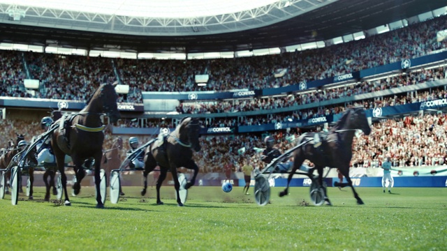 Video Reference: Horse, Sports equipment, Working animal, Player, Horse tack, Bridle, Horse supplies, Field house, Competition event, Sports