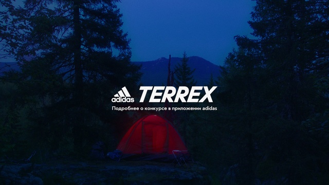 Video Reference: Plant, Sky, Mountain, Tree, Natural landscape, Font, Landscape, Electric blue, Forest, Grass