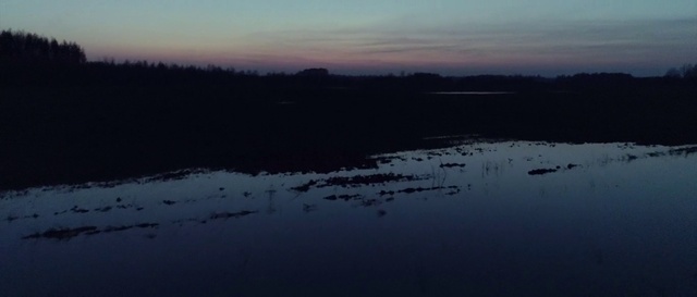 Video Reference: Water, Cloud, Sky, Natural landscape, Lake, Dusk, Plant, Rural area, Plain, Landscape