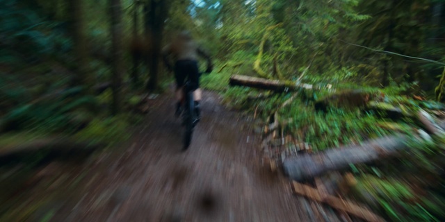 Video Reference: Plant, Wood, Tire, Bicycle wheel, Natural landscape, Terrestrial plant, Tree, Sports equipment, Grass, Cycle sport