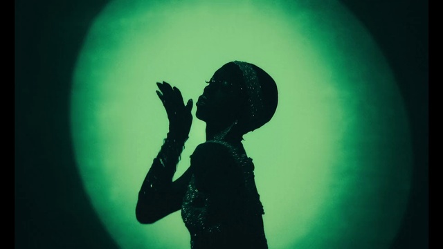 Video Reference: Hand, Sky, Arm, Microphone, Human body, Flash photography, Concert, Music, Musician, Entertainment