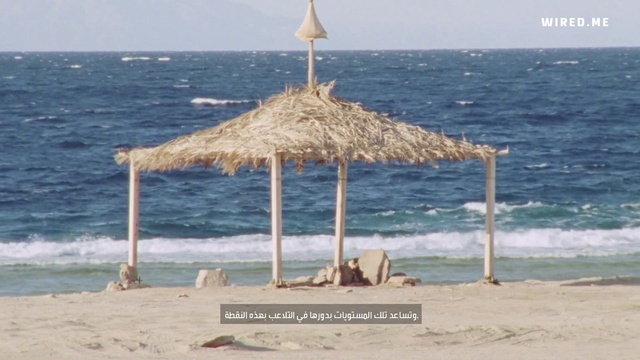 Video Reference: Water, Sky, Nature, Azure, Thatching, Natural environment, Beach, Shade, Coastal and oceanic landforms, Outdoor furniture