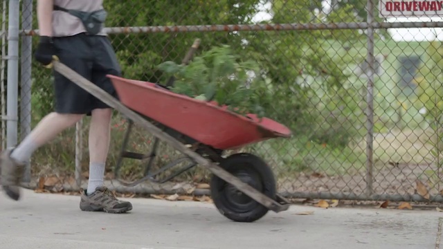 Video Reference: Wheel, Tire, Fence, Wheelbarrow, Mesh, Cart, Asphalt, Rolling, Plant, Tree