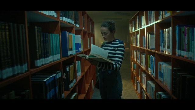 Video Reference: Bookcase, Shelf, Shelving, Publication, Book, Standing, Building, Wood, Retail, Library