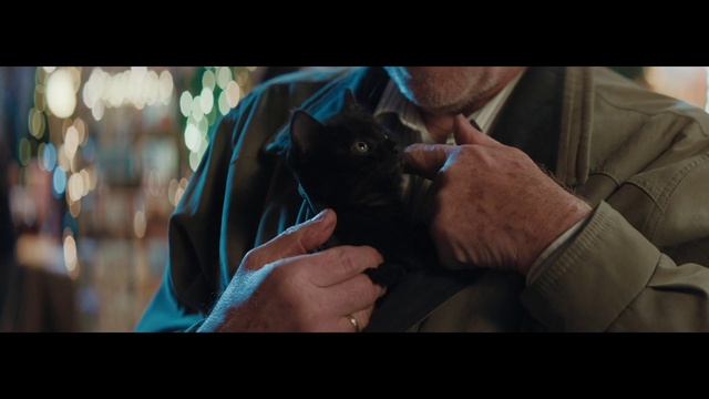 Video Reference: Hand, Gesture, Finger, Carnivore, Flash photography, Cat, Felidae, Thumb, Wrist, Electric blue