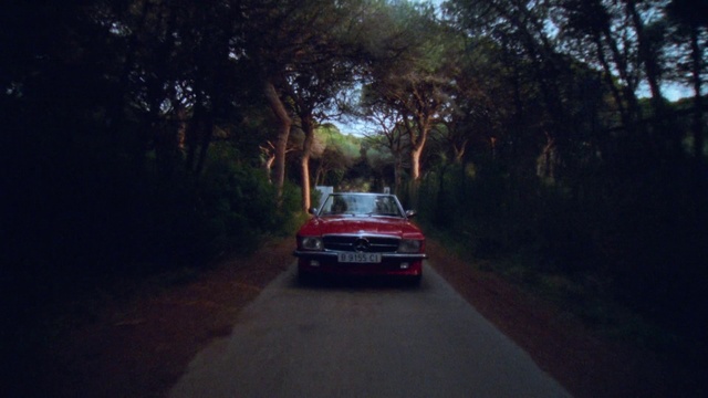 Video Reference: Vehicle, Automotive lighting, Plant, Automotive tail & brake light, Car, Automotive design, Tree, Asphalt, Road surface, Racing