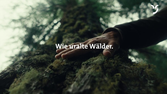 Video Reference: People in nature, Wood, Gesture, Plant, Flash photography, Trunk, Terrestrial plant, Natural landscape, Grass, Sky