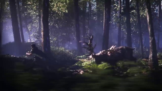 Video Reference: Plant, People in nature, Natural landscape, Wood, Terrestrial plant, Trunk, Tree, Atmospheric phenomenon, Deciduous, Grass