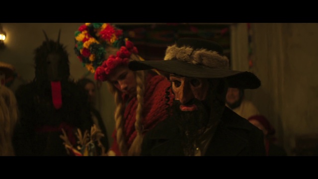 Video Reference: Plant, Hat, Sun hat, Flash photography, Fedora, Entertainment, Event, Fun, Beard, Darkness