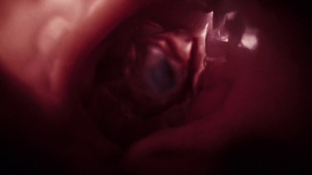 Video Reference: Lip, Jaw, Flash photography, Gesture, Petal, Automotive lighting, Chest, Magenta, Electric blue, Event