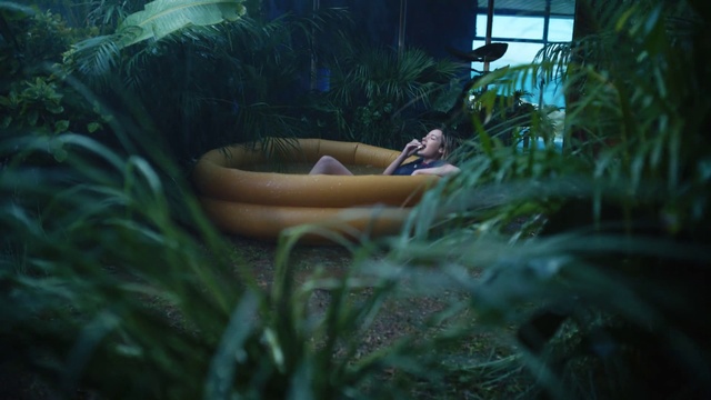 Video Reference: Plant, Terrestrial plant, Arecales, Grass, Comfort, Landscape, Leisure, Shrub, Forest, Jungle