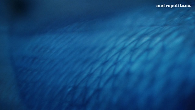 Video Reference: Water, Blue, Cloud, Liquid, Sky, Electric blue, Font, Pattern, Horizon, Meteorological phenomenon
