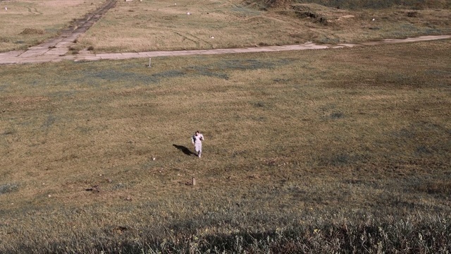 Video Reference: Bird, Ecoregion, Natural landscape, Grass, Grassland, Beak, Plant, Plain, Landscape, Grass family