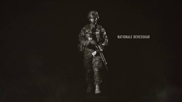 Video Reference: Flash photography, Military person, Musician, Statue, Military uniform, Soldier, Music, Personal protective equipment, Event, Entertainment